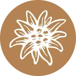 Edelweiss Bildmarke