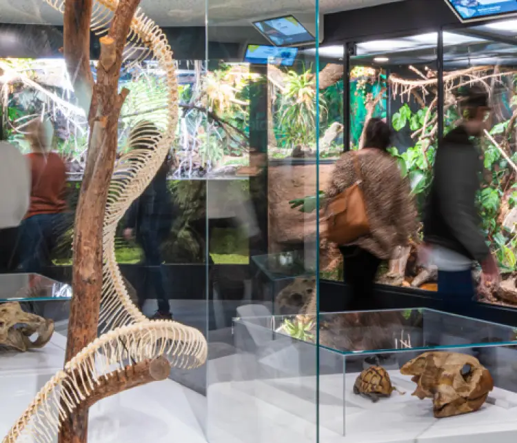 Haus der Natur