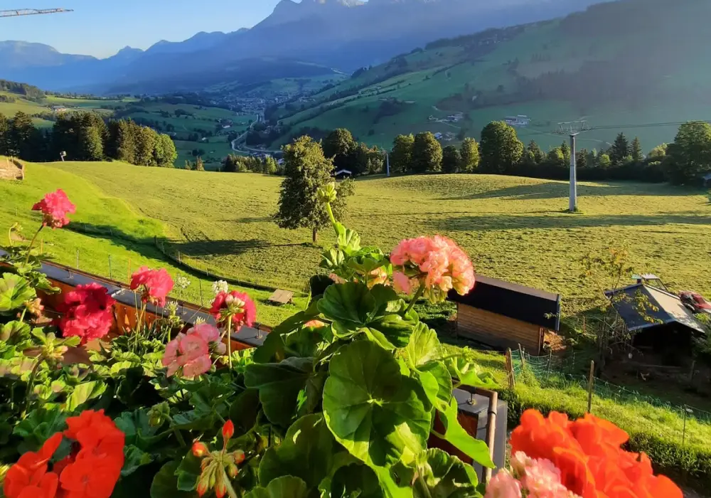 Ein Ausblick auf die Berge mit schönen Blumen im Vordergrund