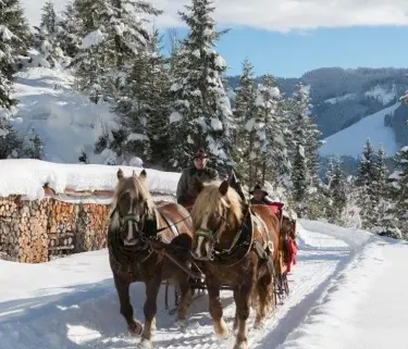 Pferdeschlittenfahrten Maria Alm