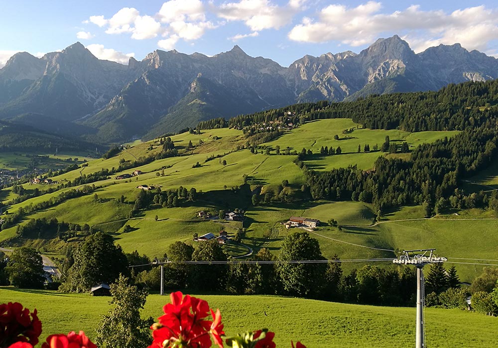 Berglandschaft im Sommer