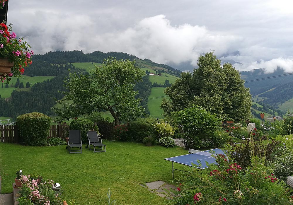 Blick auf den Garten